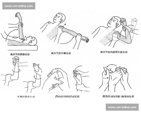 基于功能训练的全方位身体能力提升与康复方案探索