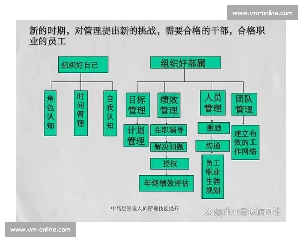 以动作规范为核心提升组织执行力与操作效率的实用策略研究