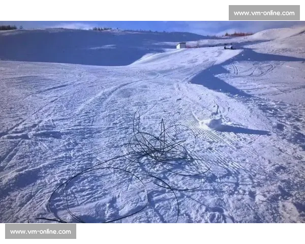 滑雪运动中的意外风险与安全防护全面解析